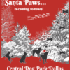 Santa Paws is Coming to Town